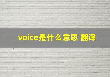 voice是什么意思 翻译